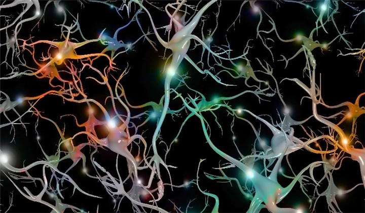 An AI Used Art to Control Monkeys’ Brain Cells