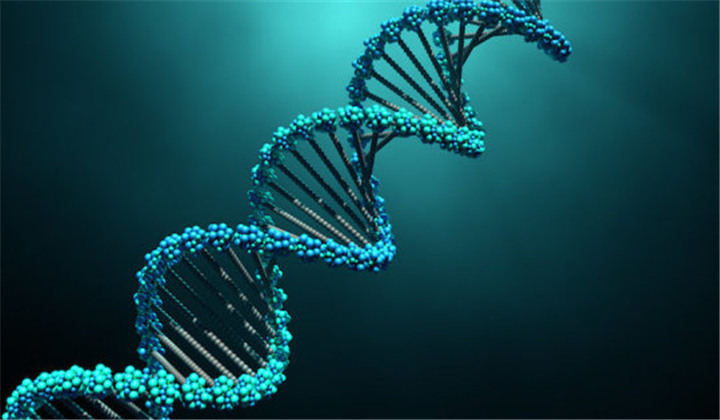 Genome Stability: Intricate Process of DNA Repair Discovered