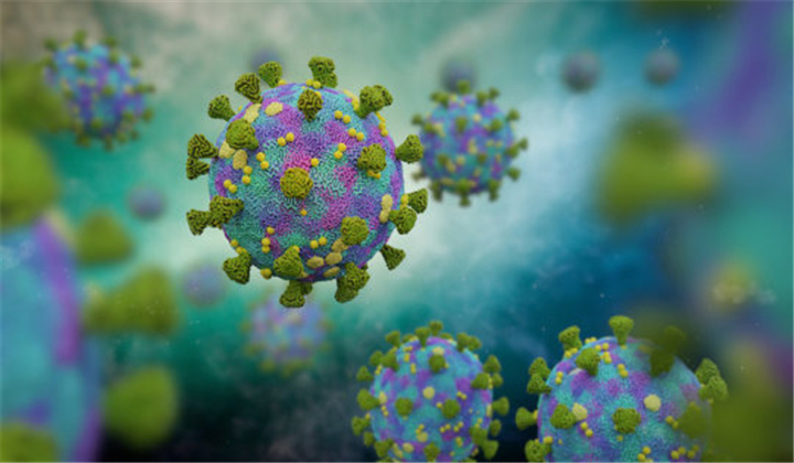 Researchers Identify Cells Likely Targeted by COVID-19 Virus