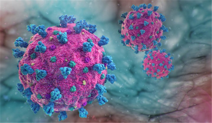 Key Nose Cells Identified as Likely COVID-19 Virus Entry Points