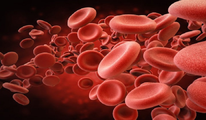 Synthetic Red Blood Cells Mimic Natural Ones, and Have New Abilities