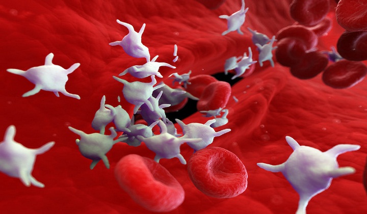 COVID-19 Causes 'Hyperactivity' in Blood-Clotting Cells