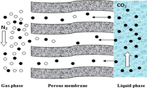 An Experimental Study PVDF and PSF Hollow Fiber Membranes for Chemical Absorption Carbon Dioxide