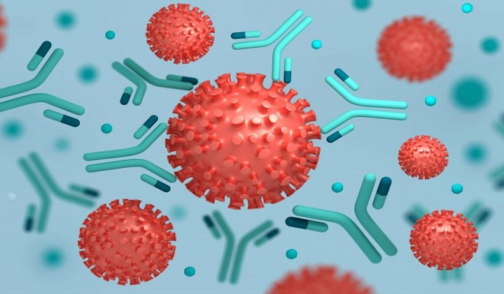 Ultrapotent Antibody Mix Blocks COVID-19 Virus From Entering Cells – Protects Against the Pandemic C