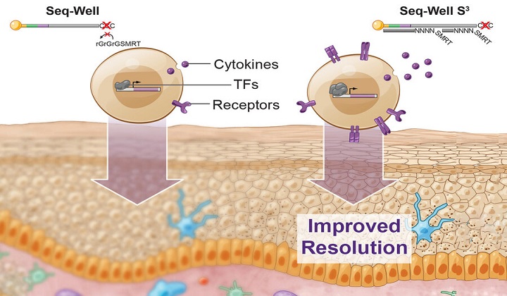 Technique to Recover Lost Single-Cell RNA-Sequencing Information Helps Evaluate Cell Health