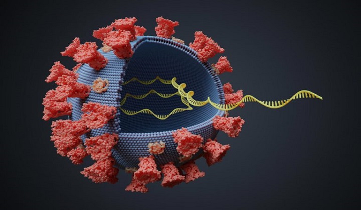 Tool Encoded in Coronaviruses Provides a Potential Drug Target for COVID-19