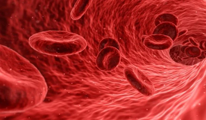 Taking New Steps with Artificial Platelets