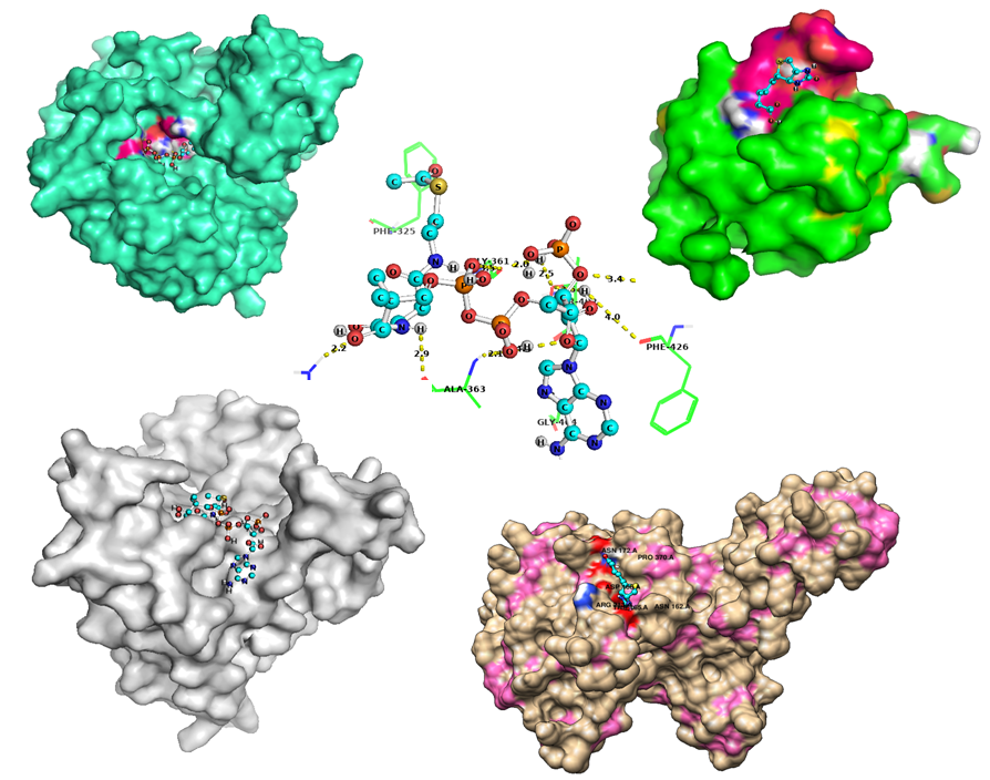 Elucidating the Molecular Anatomy of Acetyl-CoA Carboxylase in Brassica Rapa for Evolving Climate-Resilient Interventions to Minimize Carbon Footprints