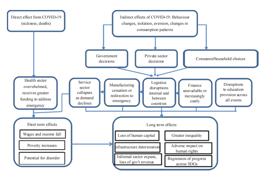 COVID-19 and Socioeconomic Crises in Africa: Overview of the Prevailing Incidents