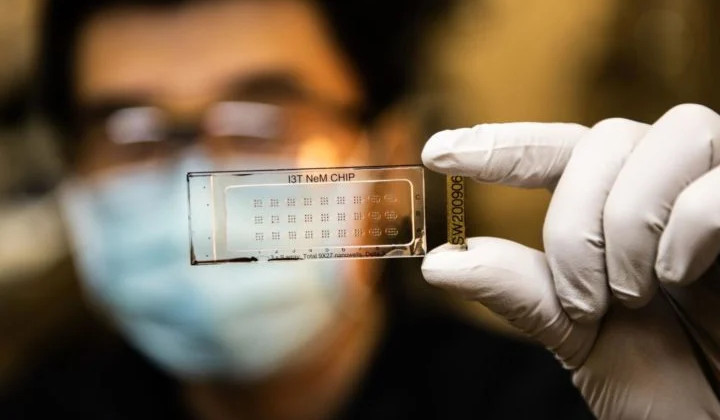 Nested Nanowells Speed Single Cell Studies