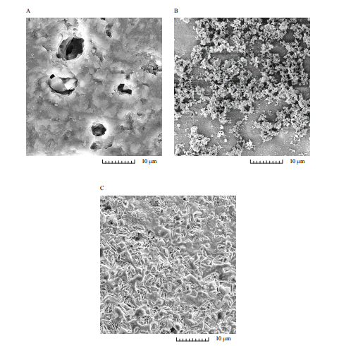 Effect of SrO and ZnO on Densification and in Vitro Behaviors of P2O5-CaO-Na2O-SiO2-TiO2 Bioactive Glass-Ceramics