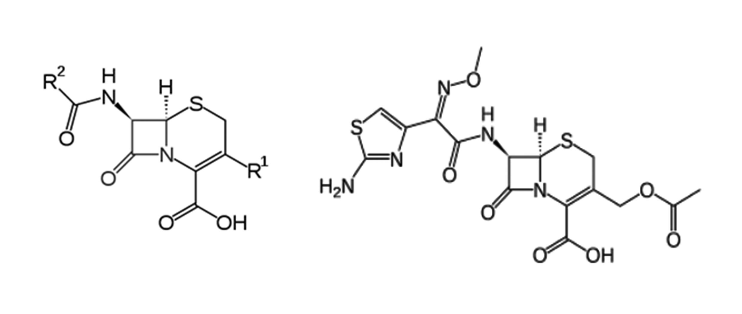 HPLC Analytical Method Validation for Determination of Cefotaxime in the Bulk and Finished Pharmaceutical Dosage Form