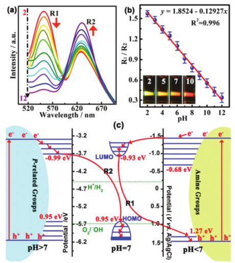 Optical Properties of Carbon Dots: A Review