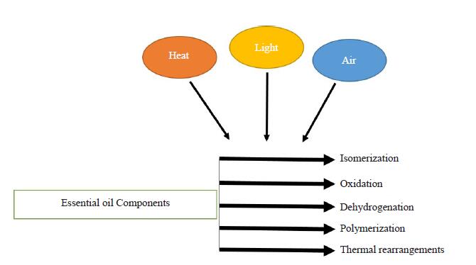 A Compositional Perspective of Sour Orange (Citrus aurantium L.) Flowers Essential Oil under Different Storage Conditions