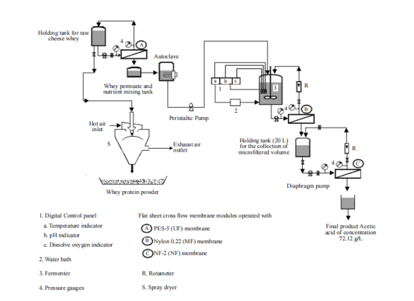 Production of Acetic Acid and Whey Protein from Cheese Whey in a  Hybrid Reactor under Response Surface Optimized Conditions