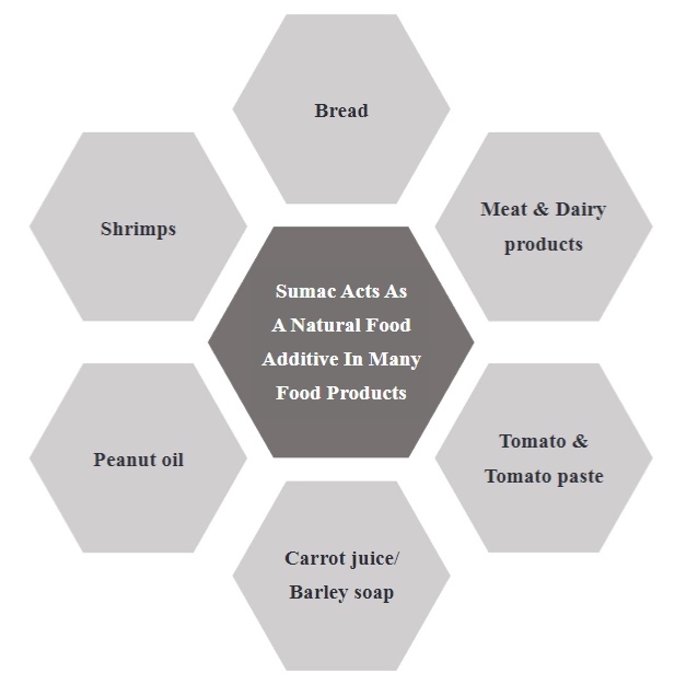 A Focused Insight into Sumac: Biological, Chemical, Health Benefits and Its Applications in Food Industry