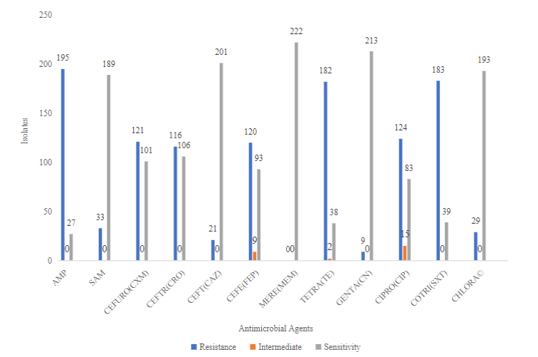 Antimicrobial Resistance of Diarrheagenic E. coli in the Ashanti Region of Ghana