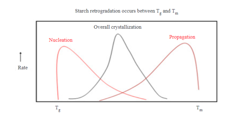 Starch Retrogradation: Role of Food Ingredients and Extrinsic Factors