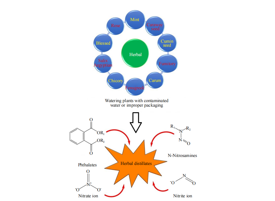 Investigation and Health Risk Assessment of Nitrate ion, Nitrite ion, and Phthalate Esters in Herbal Distillates Produced by Iranian Companies