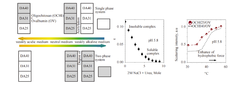 Binding and Specificity of Ovalbumin with Chitosan Derivatives Varying in Degree of Acetylation