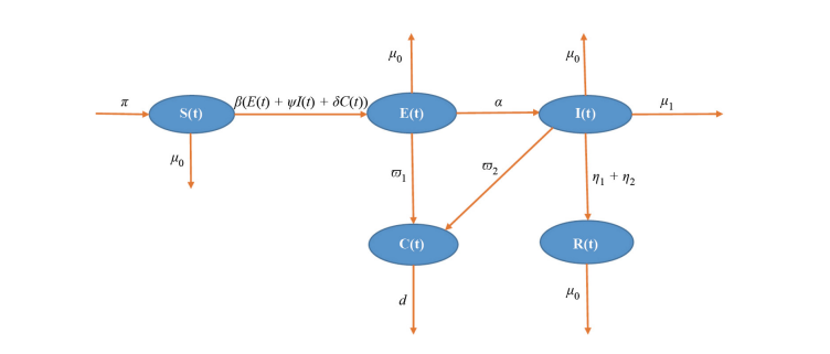 Mathematical Modeling of Middle East Respiratory Syndrome Coronavirus with Bifurcation Analysis