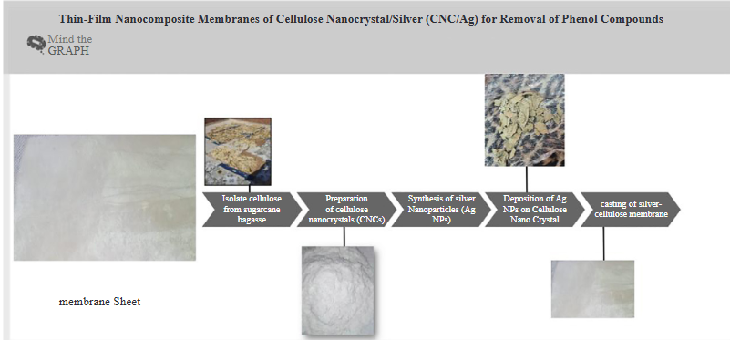 Thin-Film Nanocomposite Membranes of Cellulose Nanocrystal/Silver (CNC/Ag) for Removal of Phenol Compounds