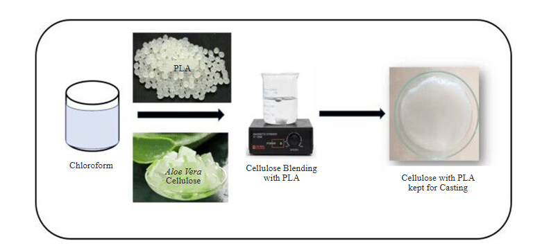 Poly (Lactic Acid) Cellulose Biocomposite Films as Potential Antimicrobial Food Packaging Material