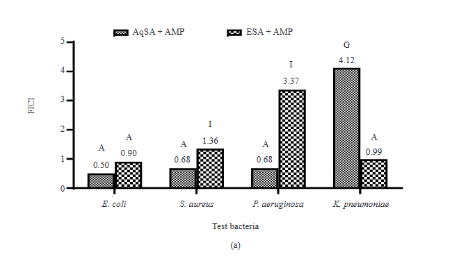 Enhancing Antibiotic Efficacy: Exploring Synergistic Interactions between Plant Extracts and Conventional Antibiotics