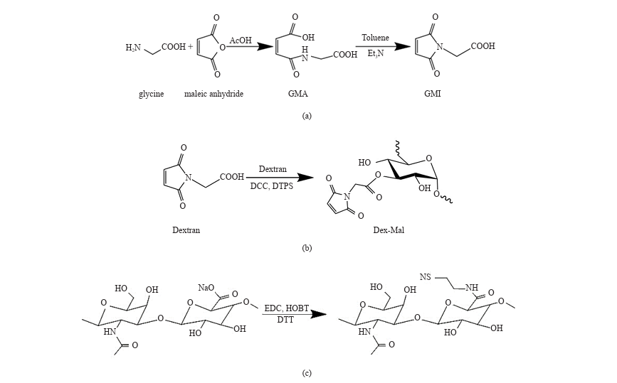 Studies of a Biocompatible Maleimide-Modified Dextran and Hyaluronic Acid Hydrogel System