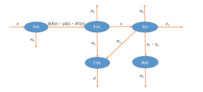 Mathematical Modeling of Middle East Respiratory Syndrome Coronavirus with Bifurcation Analysis